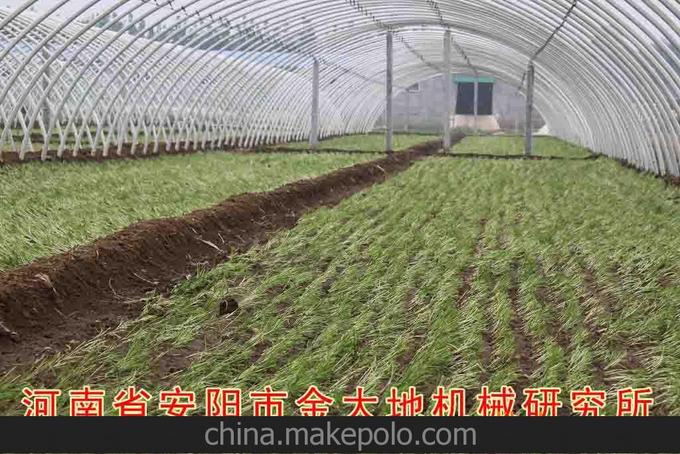 大棚、蔬菜大棚、花卉大棚、農(nóng)業(yè)大棚、大棚骨架機(jī)、安陽金大地圖片