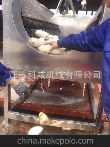 供應毛刷清洗去皮機、清洗去皮機、水果清洗機、去皮機圖片
