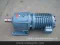 减速电机DSZYGCJa225-4-74rpm,厂家直销,品质保证