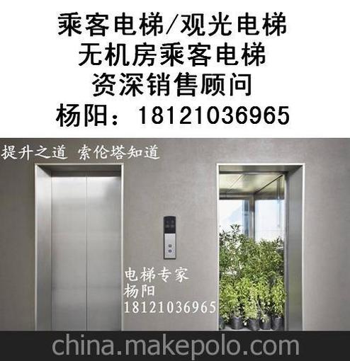 供應福建省南平市建甌市乘客電梯，觀(guān)光電梯，無(wú)機房乘客電梯圖片