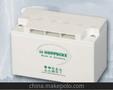 江苏江阴市德国荷贝壳蓄电池代理商12v100ah