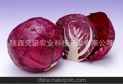西安基地凈菜配送，有機(jī)蔬菜，紫甘藍(lán)，凈菜加工。圖片