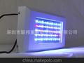 55x3W LED水族灯