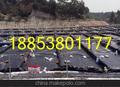 河北滹沱河复膨润土防水毯施工现场