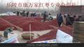 常年低价为客户供应代收乐陵金丝小枣