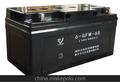 蓄电池6GFM-65（2）铅酸蓄电池 直流屏用蓄电池 电瓶 UPS电源